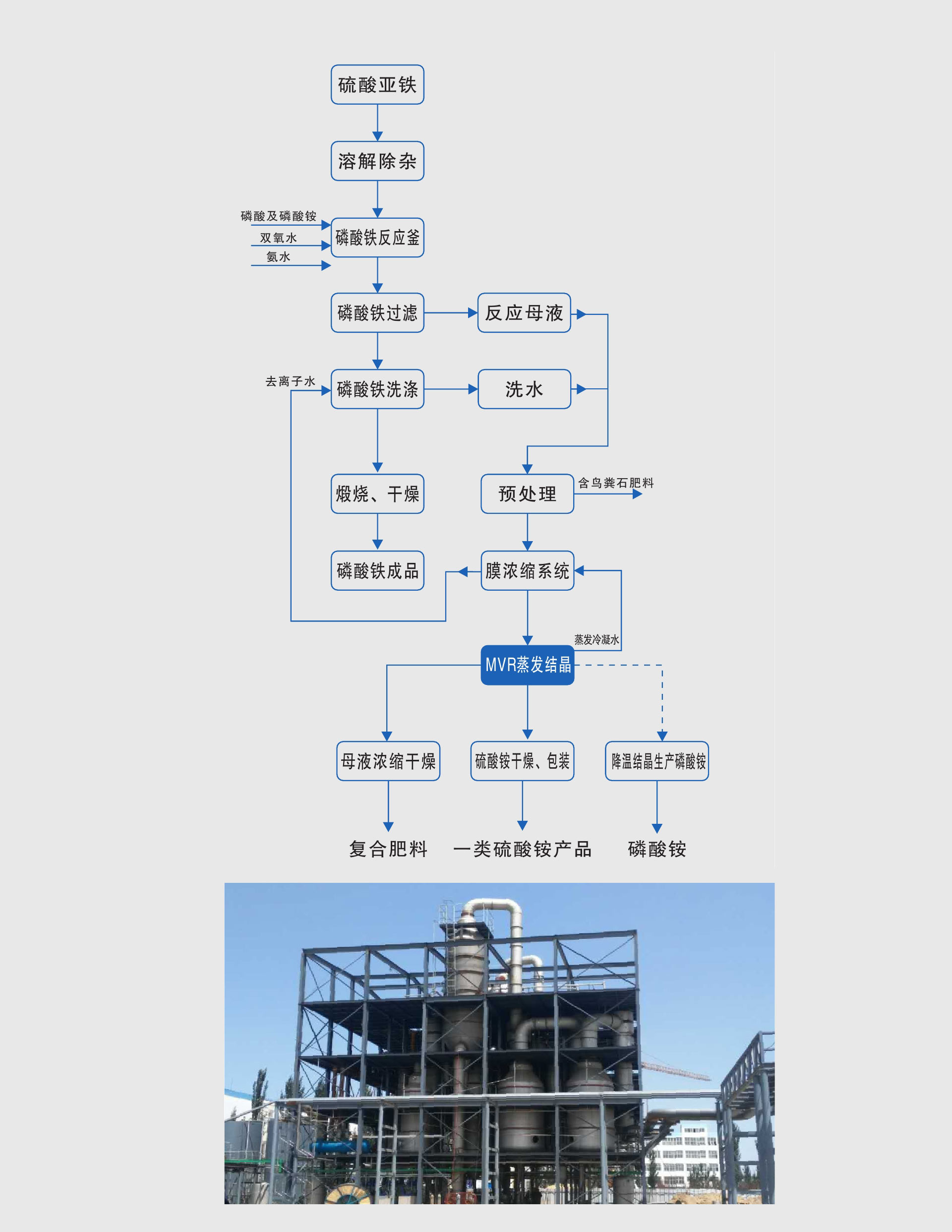 未标题-4.jpg